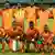 Ivory Coast's squad for the 2013 Orange Africa Cup of Nations