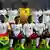 Interaktiver WM-Check 2014 Mannschaft Ghana