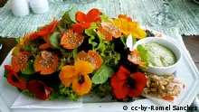 Salat Essbare Blüten