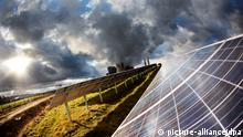 ARCHIV - Die Sonne scheint am 06.12.2011 in Inden auf eine Solaranlage. Die Internationale Energieagentur (IEA) stellt am 03.06.2014 in London (Großbritannien) die Prognosen zu Investitionen im Energiesektor vor. Foto: Oliver Berg/dpa (zu dpa vom 03.06.2014) +++(c) dpa - Bildfunk+++