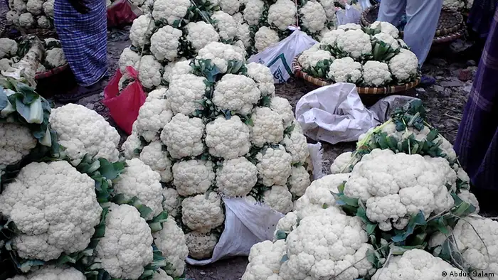 Bangladesch Landwirtschaft Blumenkohl
