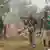 Des membres de la milice chrétienne anti-balaka accusés d'avoir brûlé une mosquée dans le nord de Bangui, en janvier 2014