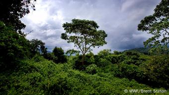Bildergalerie Virunga-Park Demokratische Republik Kongo