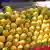 Indien - Mangoverkäufer in Lucknow