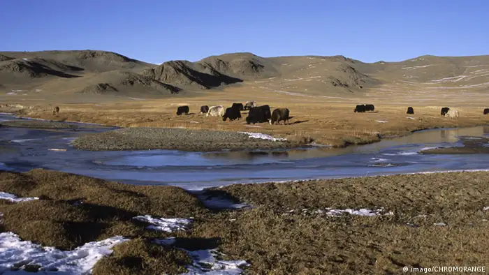Mongolei Taiga Altai-Gebirge