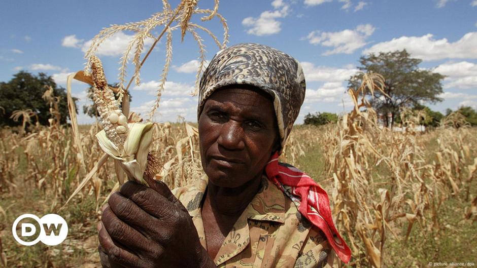 Combating hidden hunger – DW – 07/23/2014