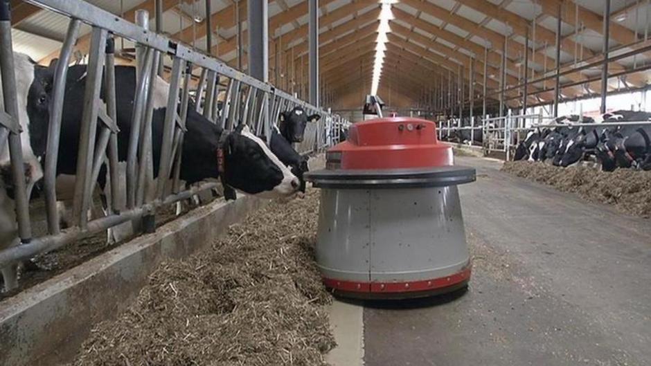 Automation in the dairy cow industry DW 06/25/2014