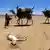 Nomaden ziehen an einer toten Ziege vorbei (Quelle: DPA)