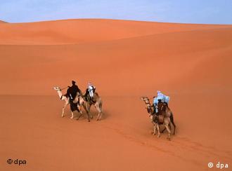 Fortschreitende Wüstenbildung in der Sahara (Foto: dpa)