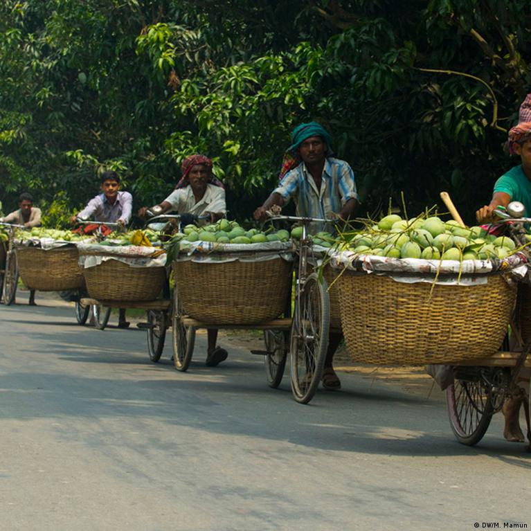 Eshak it uslubidagi surat Keng kokrak uchlari bolgan ayol (foto)