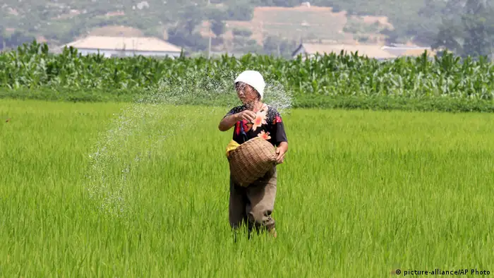 Nordkorea Bauern