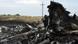 Место падения самолета MH17 Место падения самолета MH17