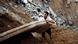 Gaza Israel Krieg Bodenoffensive Beschuss Terror in Gaza 21.7. Gaza Israel Krieg Bodenoffensive Beschuss Terror in Gaza 21.7.
