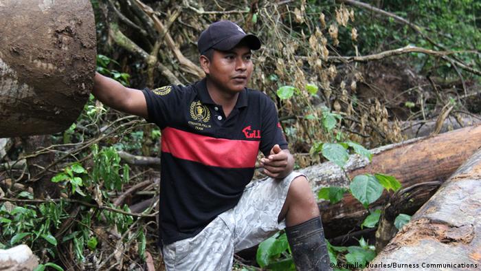 Indigenous forester in Panama