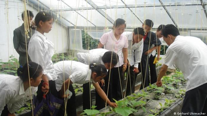 Nepal Landwirtschaft