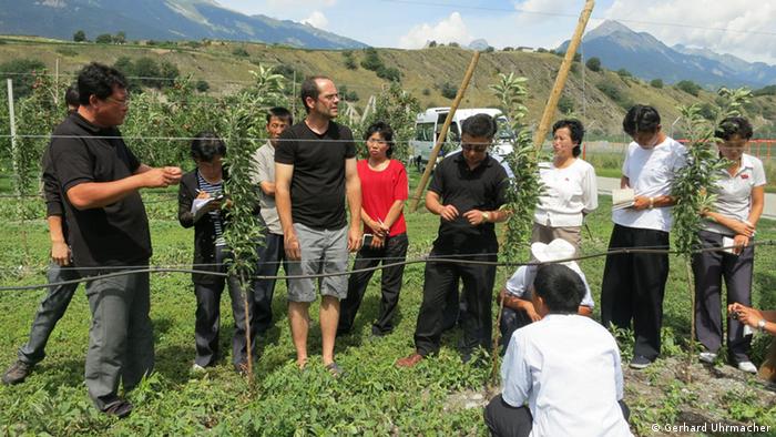 Nordkorea Landwirtschaft