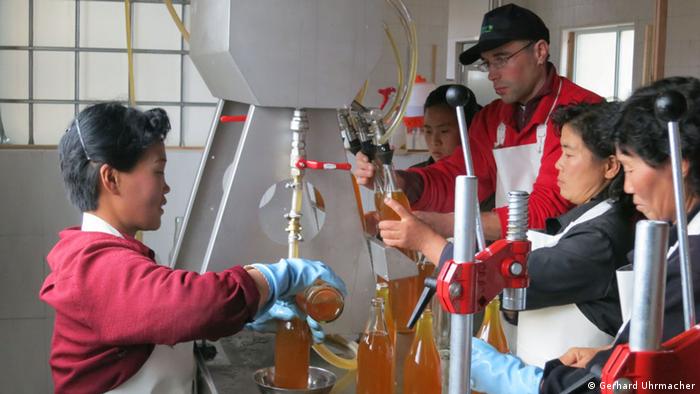 Nordkorea Landwirtschaft