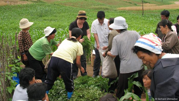 Peasants in the DPRK