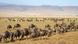 Ngorongoro Nationalpark in Tansania (Foto: kjekol - Fotolia.com) Ngorongoro Nationalpark in Tansania (Foto: kjekol - Fotolia.com)