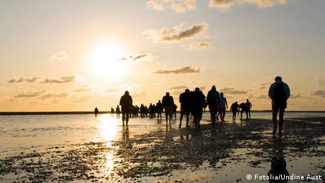 Wattwanderer bei Sonnenuntergang 