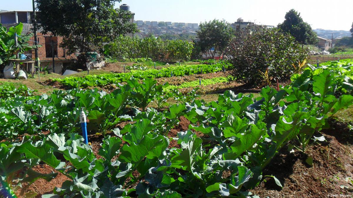 agrobusiness-in-brasilien