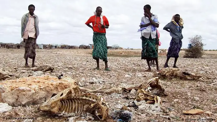 Dürre ohne Ende Am Horn von Afrika droht Hungersnot