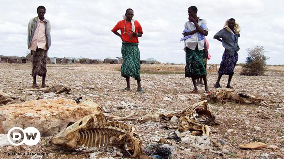 Climate change in Africa – DW – 02/26/2015