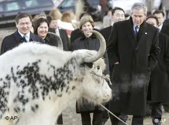 布什在蒙古总统恩赫巴亚尔（图左一）陪同下参观蒙古牧场
