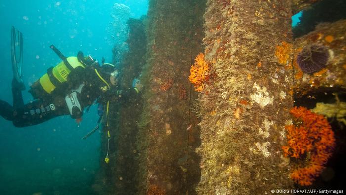 Artificial reefs and scuba diver underwater Artificial reefs and scuba diver underwater