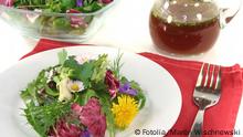 Ensalada de hierbas con aderezo de arándanos