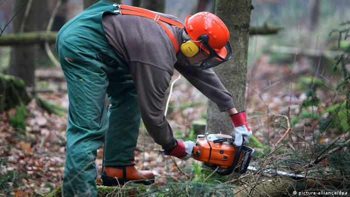Die gefährlichsten Berufe Holzfäller