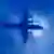 blue airplane Symbol picture