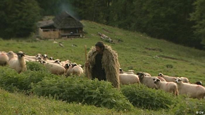 Rumänien - Hirte mit seiner Schafherde