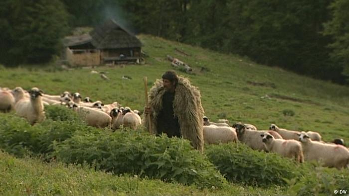 Rumänien - Hirte mit seiner Schafherde Rumänien - Hirte mit seiner Schafherde
