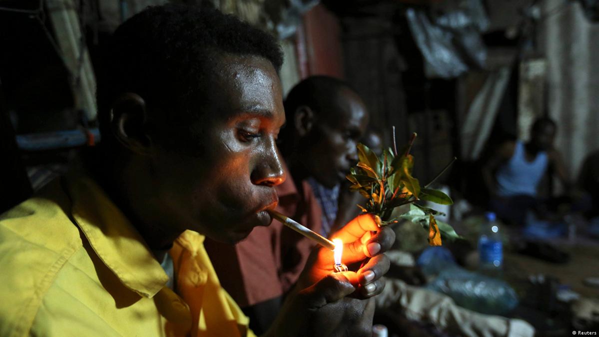 Paradise flower Somalis revel in lowprice "khat" DW 08/26/2014