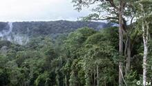Ein vom WWF zur Verfügung gestelltes Bild zeigt ein Teilstück des Regenwaldes im Westen Kongos (undatiertes Handout). Das zweitgrößte Regenwaldgebiet der Welt ist nach Einschätzungen von Umweltschützern stark gefährdet. Etwa 8.000 Quadratkilometer Waldfläche werden schätzungsweise pro Jahr vernichtet. Schuld dran ist insbesondere der illegale Handel mit Tropenholz, da lange Zeit die Abholzgenehmigungen f¸r einen viel zu geringen Preis verkauft wurden. Foto: Martin Harvey WWF (zu dpa-KORR: Kongo-Regenwälder sind bedroht - Der zweite Lungenfl¸gel der Erde vom 04.02.2005) +++(c) dpa - Report+++