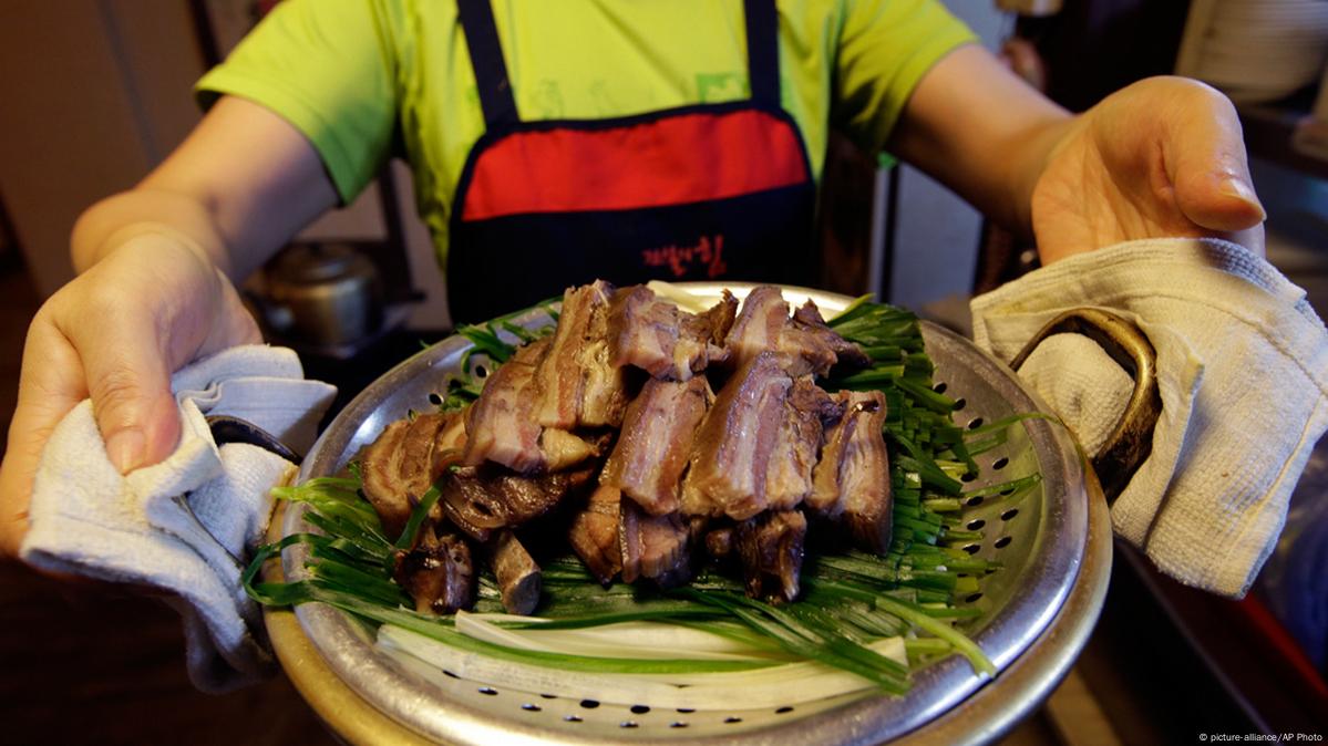 South Korean parliament passes bill to ban dog meat trade – DW – 01/09/2024