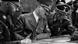 Adolf Hitler 1939 Adolf Hitler 1939
