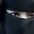 Mulher usa o niqab, véu que cobre o rosto e só revela os olhos