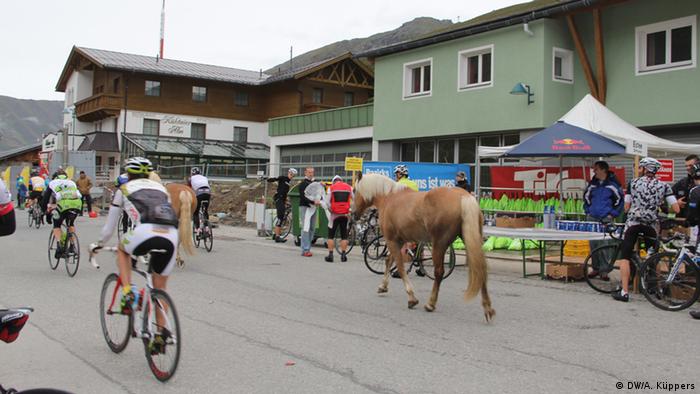 Tierisches Duell: Pferde begleiten die Teilnehmer des Ötztaler Radmarathons (Foto: Andrea Küppers/DW)