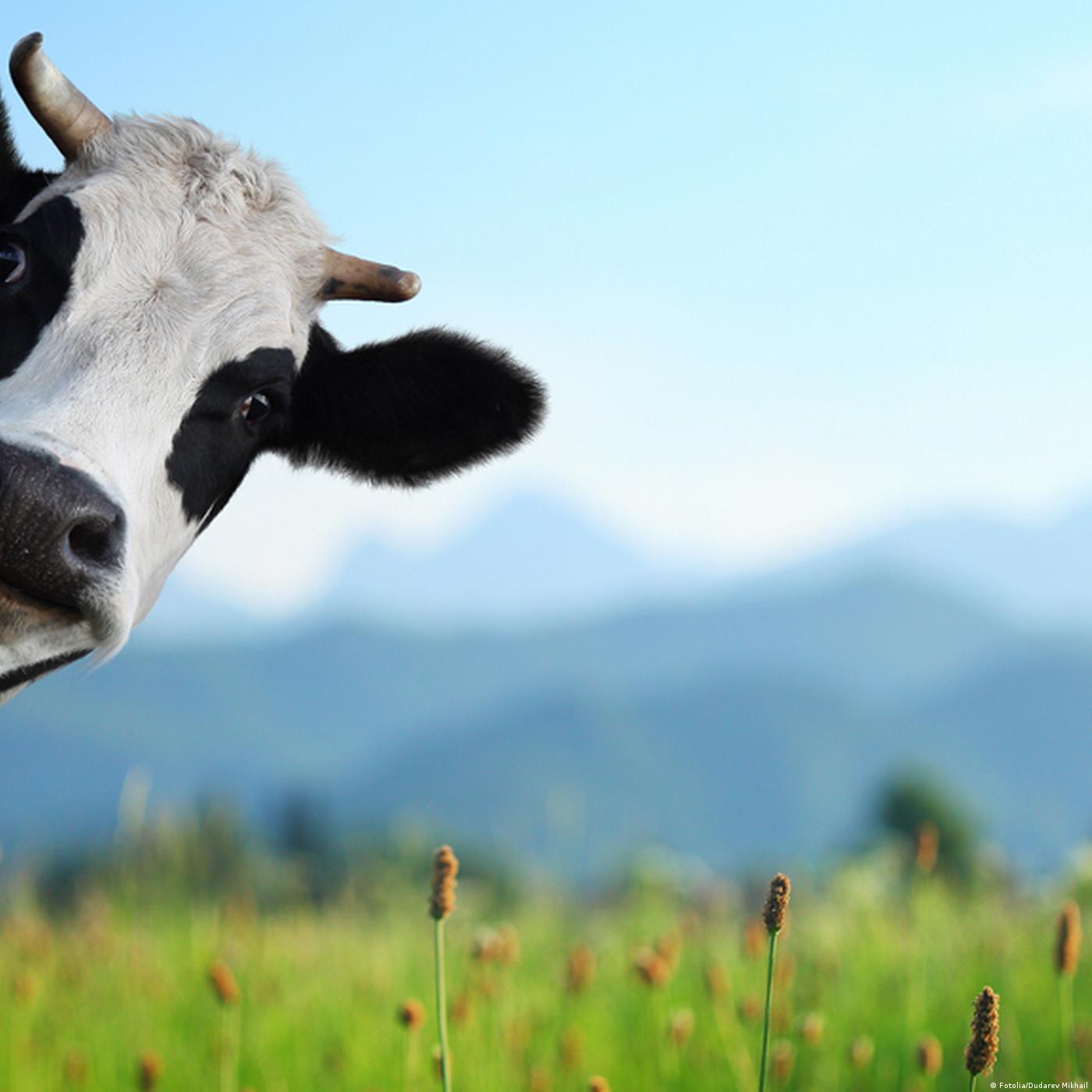 Living Planet: How green are you?