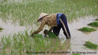 Landwirtschaft in der Mekong Delta Vietnam