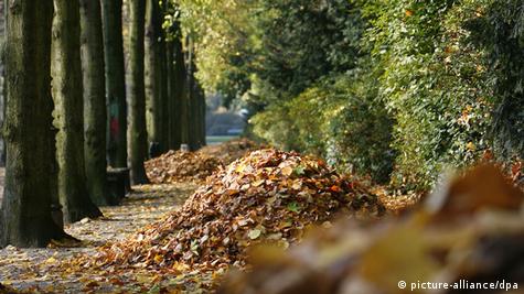 Раскошен парк во германскиот град Дизелдорф