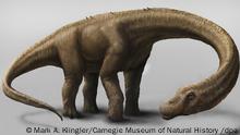 Dreadnoughtus schrani, otro titanosaurio hallado también en 2014 en Argentina.