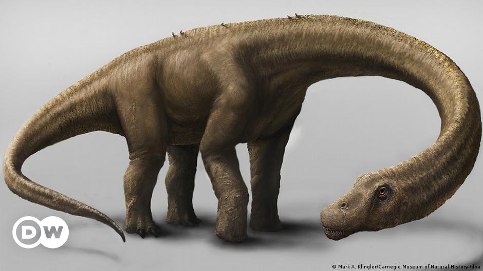 Es oficial: el titanosaurio más antiguo del mundo es argentino | Ciencia y  Ecología | DW 