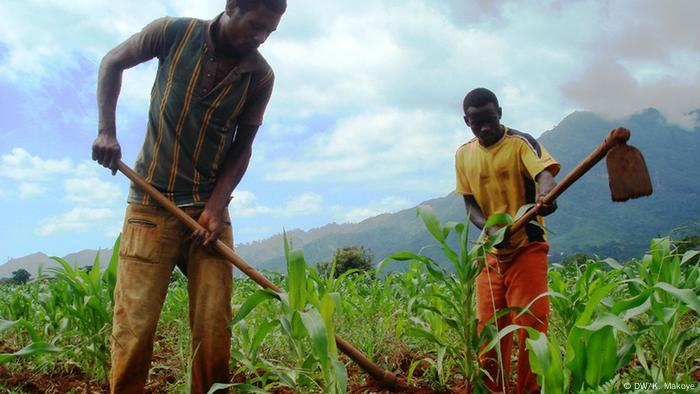 Two men working in a field in Tanzania