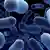 Closeup image of bacteria
