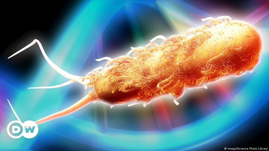 CRISPR-Cas9: Senjata melawan superbug yang kebal antibiotik?  |  Sains |  Pelaporan mendalam tentang sains dan teknologi |  DW