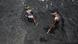 Indian labourers load coal into trucks at a coal warehouse in Bari Bharmana railway station about 20 Km from the northern city of Jammu, Winter capital of Kashmir, India, 23 August 2012 (Photo: EPA/JAIPAL SINGH +++(c) dpa - Bildfunk+++) Indian labourers load coal into trucks at a coal warehouse in Bari Bharmana railway station about 20 Km from the northern city of Jammu, Winter capital of Kashmir, India, 23 August 2012 (Photo: EPA/JAIPAL SINGH +++(c) dpa - Bildfunk+++)