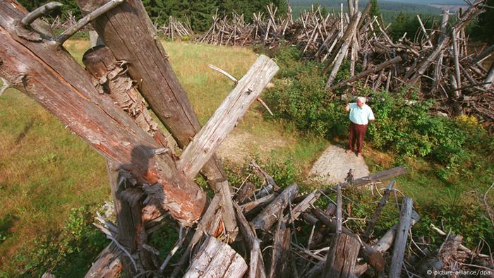 Bildergalerie - Grünes Band